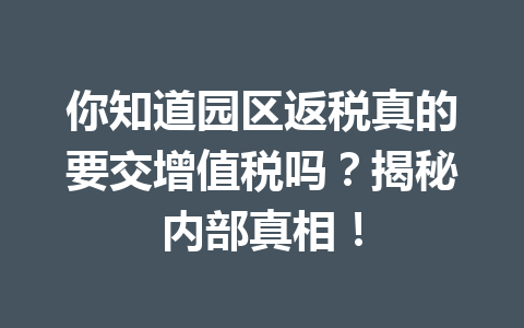 你知道园区返税真的要交增值税吗？揭秘内部真相！