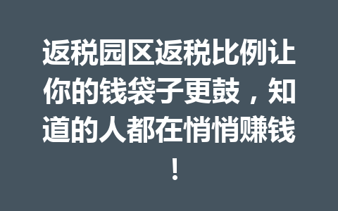 返税园区返税比例让你的钱袋子更鼓，知道的人都在悄悄赚钱！