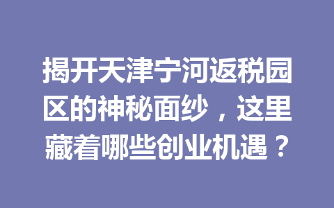 揭开天津宁河返税园区的神秘面纱，这里藏着哪些创业机遇？