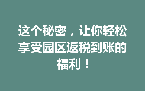 这个秘密，让你轻松享受园区返税到账的福利！