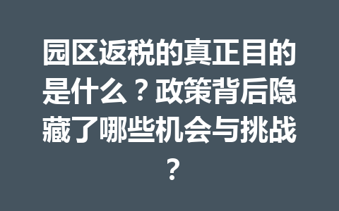 园区返税的真正目的是什么？政策背后隐藏了哪些机会与挑战？