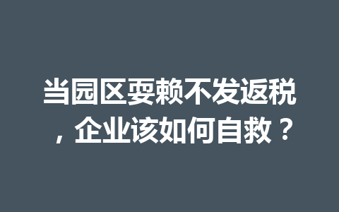 当园区耍赖不发返税，企业该如何自救？