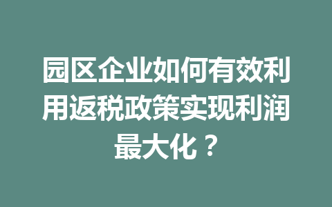 园区企业如何有效利用返税政策实现利润最大化？
