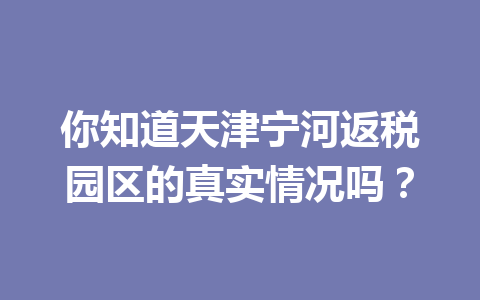 你知道天津宁河返税园区的真实情况吗？