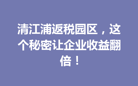 清江浦返税园区，这个秘密让企业收益翻倍！