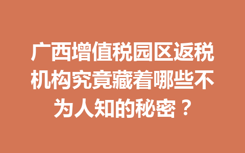 广西增值税园区返税机构究竟藏着哪些不为人知的秘密？