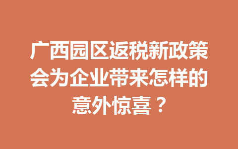 广西园区返税新政策会为企业带来怎样的意外惊喜？