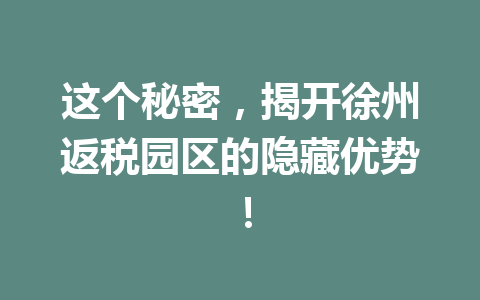 这个秘密，揭开徐州返税园区的隐藏优势！
