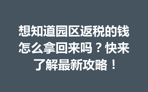 想知道园区返税的钱怎么拿回来吗？快来了解最新攻略！