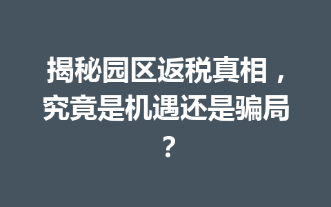 揭秘园区返税真相，究竟是机遇还是骗局？