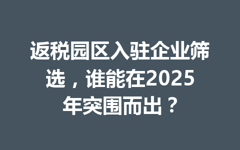 返税园区入驻企业筛选，谁能在2025年突围而出？