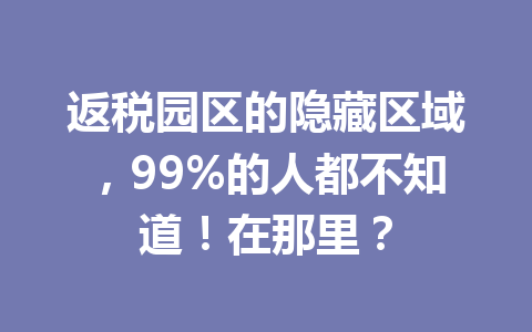 返税园区的隐藏区域，99%的人都不知道！在那里？