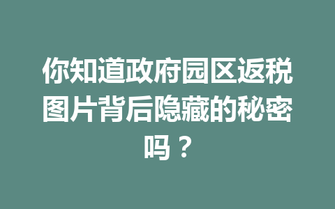 你知道政府园区返税图片背后隐藏的秘密吗？