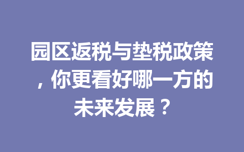 园区返税与垫税政策，你更看好哪一方的未来发展？