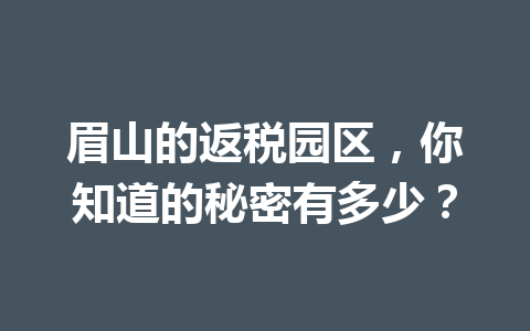 眉山的返税园区，你知道的秘密有多少？