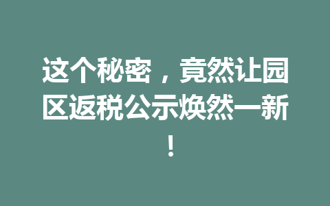 这个秘密，竟然让园区返税公示焕然一新！