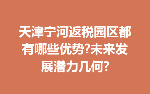 天津宁河返税园区都有哪些优势?未来发展潜力几何?