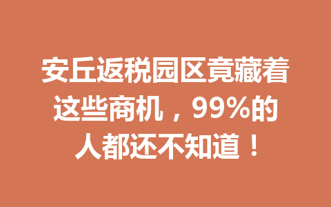 安丘返税园区竟藏着这些商机，99%的人都还不知道！