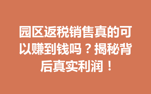 园区返税销售真的可以赚到钱吗？揭秘背后真实利润！