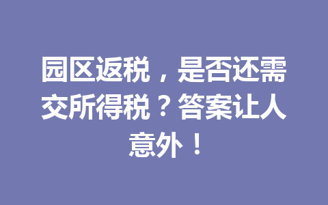 园区返税，是否还需交所得税？答案让人意外！