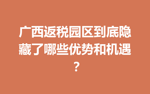 广西返税园区到底隐藏了哪些优势和机遇？