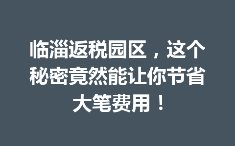 临淄返税园区，这个秘密竟然能让你节省大笔费用！