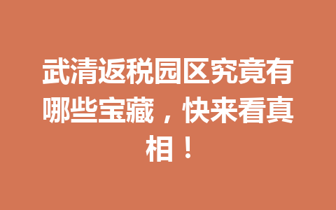 武清返税园区究竟有哪些宝藏，快来看真相！