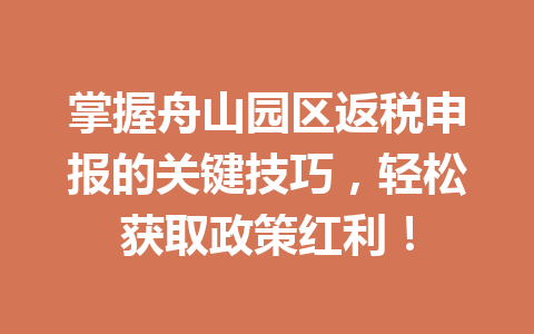 掌握舟山园区返税申报的关键技巧，轻松获取政策红利！