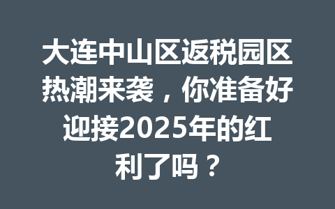 大连中山区返税园区热潮来袭，你准备好迎接2025年的红利了吗？