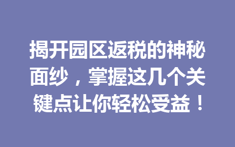 揭开园区返税的神秘面纱，掌握这几个关键点让你轻松受益！