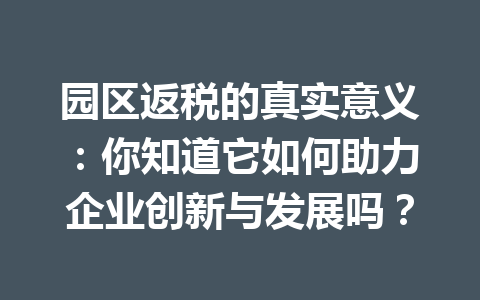 园区返税的真实意义：你知道它如何助力企业创新与发展吗？