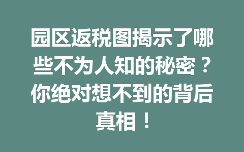 园区返税图揭示了哪些不为人知的秘密？你绝对想不到的背后真相！