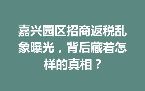 嘉兴园区招商返税乱象曝光，背后藏着怎样的真相？