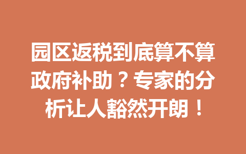 园区返税到底算不算政府补助？专家的分析让人豁然开朗！