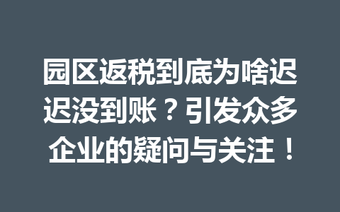 园区返税到底为啥迟迟没到账？引发众多企业的疑问与关注！