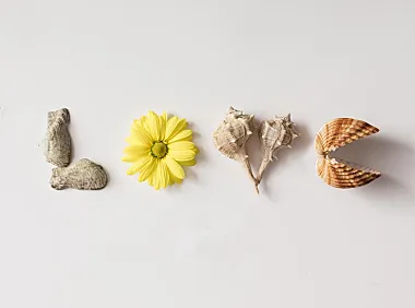 千万流水电商如何合规减负