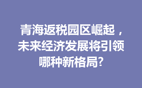 青海返税园区崛起，未来经济发展将引领哪种新格局?