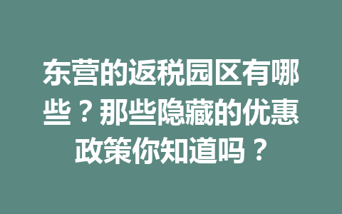 东营的返税园区有哪些？那些隐藏的优惠政策你知道吗？