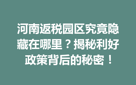 河南返税园区究竟隐藏在哪里？揭秘利好政策背后的秘密！