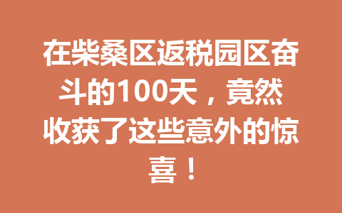 在柴桑区返税园区奋斗的100天，竟然收获了这些意外的惊喜！
