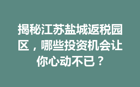 揭秘江苏盐城返税园区，哪些投资机会让你心动不已？