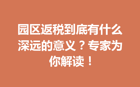 园区返税到底有什么深远的意义？专家为你解读！