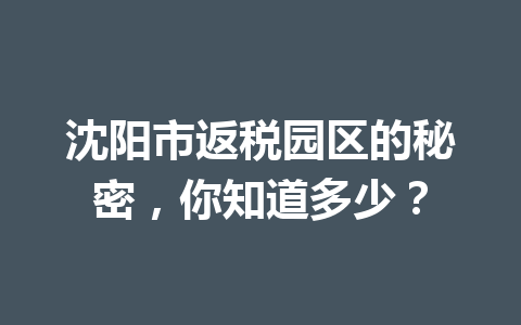 沈阳市返税园区的秘密，你知道多少？