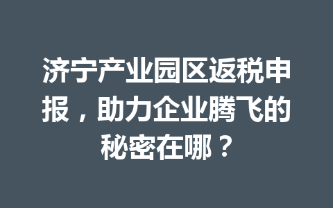 济宁产业园区返税申报，助力企业腾飞的秘密在哪？