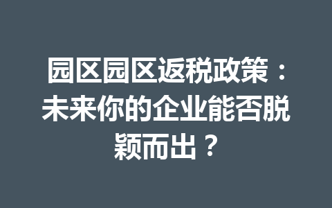 园区园区返税政策：未来你的企业能否脱颖而出？