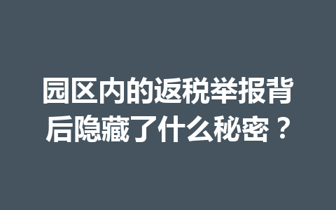 园区内的返税举报背后隐藏了什么秘密？
