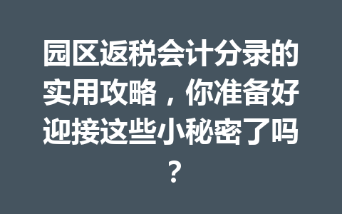 园区返税会计分录的实用攻略，你准备好迎接这些小秘密了吗？