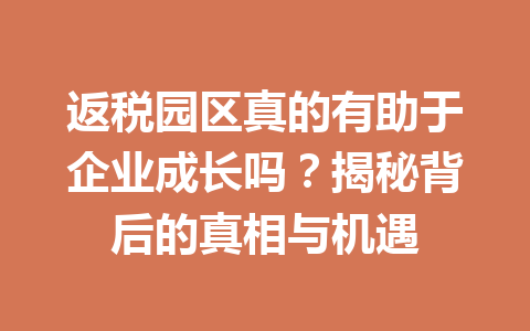 返税园区真的有助于企业成长吗？揭秘背后的真相与机遇