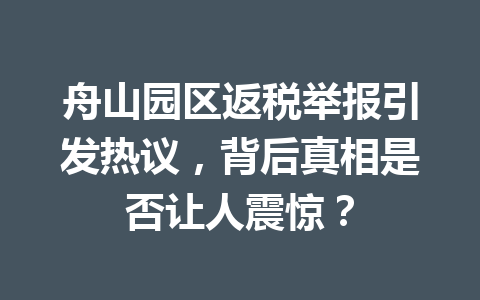 舟山园区返税举报引发热议，背后真相是否让人震惊？