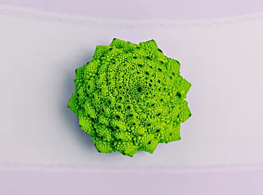 普通代帐和合规账的区别,尤其电商老板们赶紧拥抱合规账,降低你的财税风险